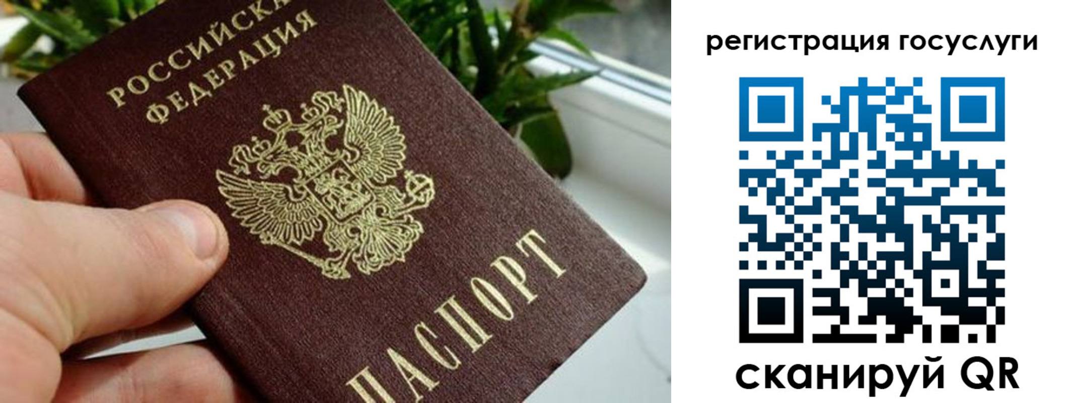прописка для кредита в Сосновом Бору